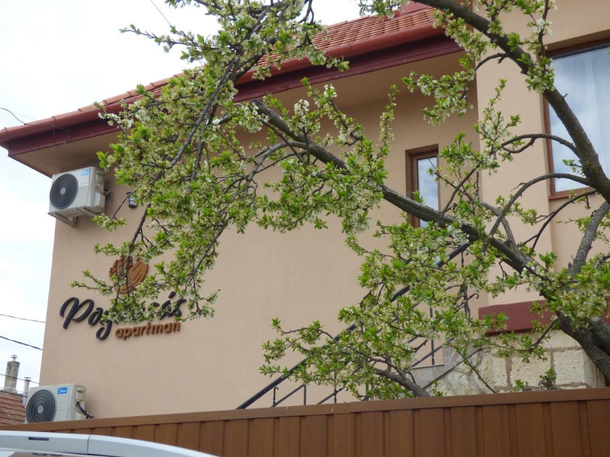 Apartament Pogacsas Apartman Tokaj Zewnętrze zdjęcie