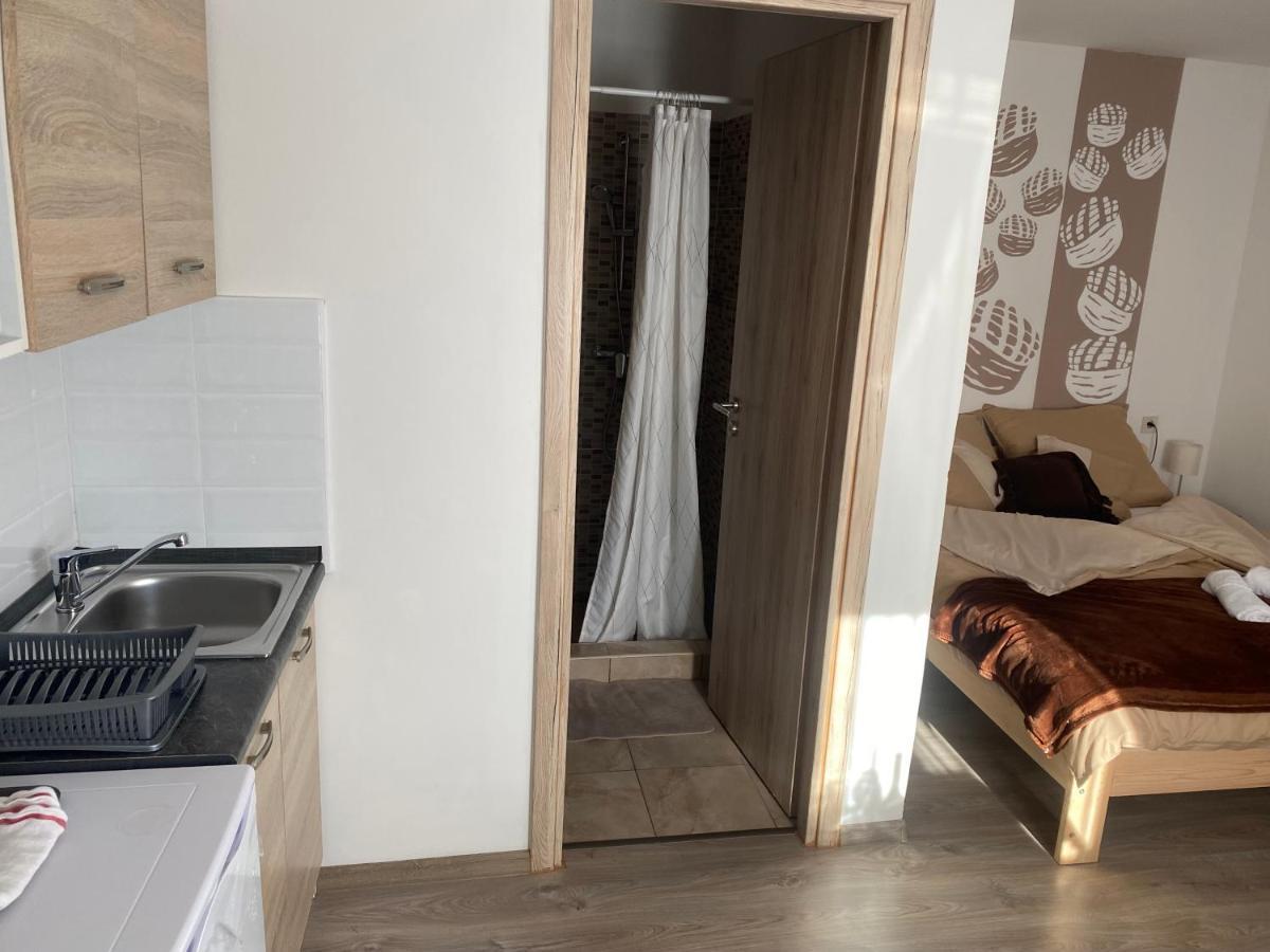 Apartament Pogacsas Apartman Tokaj Zewnętrze zdjęcie